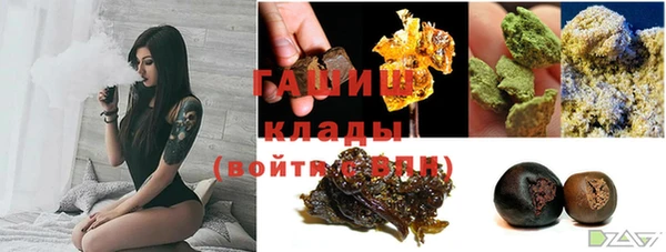 стаф Арсеньев