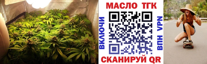 Купить закладки  Магас  Дистиллят ТГК THC oil 