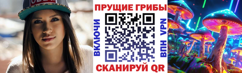 Купить закладки Магас Галлюциногенные грибы Psilocybe
